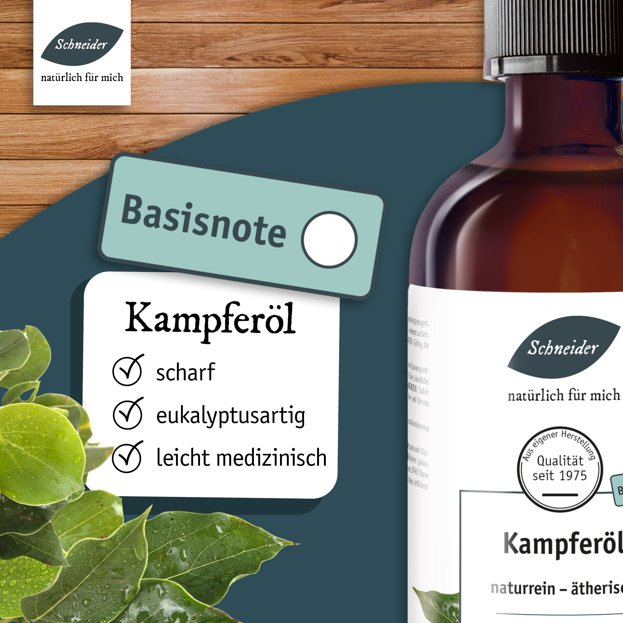 Ätherisches Öl Kampfer 100ml