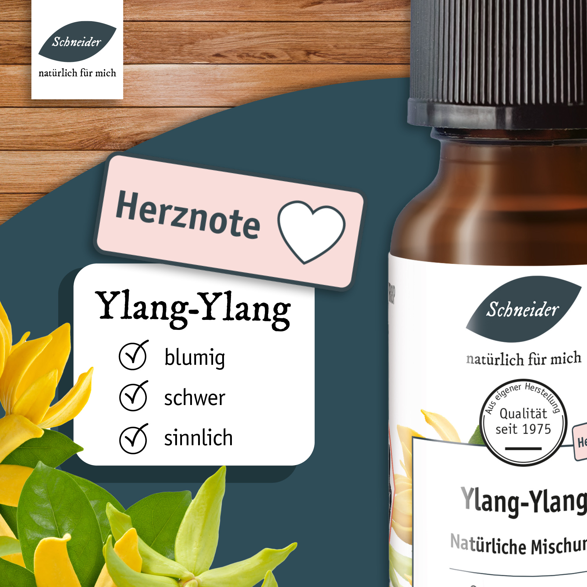 Natürliches Ylang-Ylang-Öl 20ml