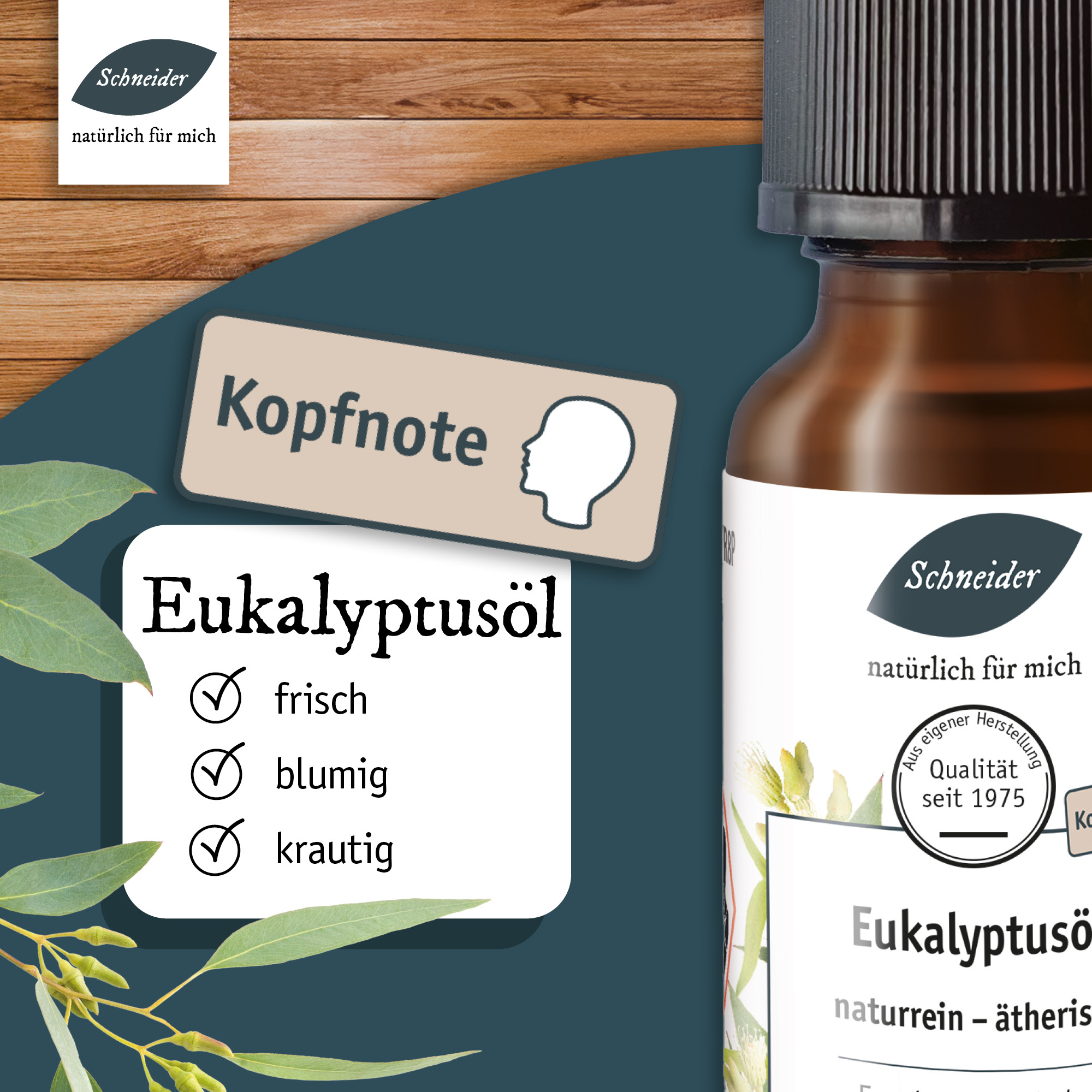 Ätherisches Öl Eukalyptus 20ml