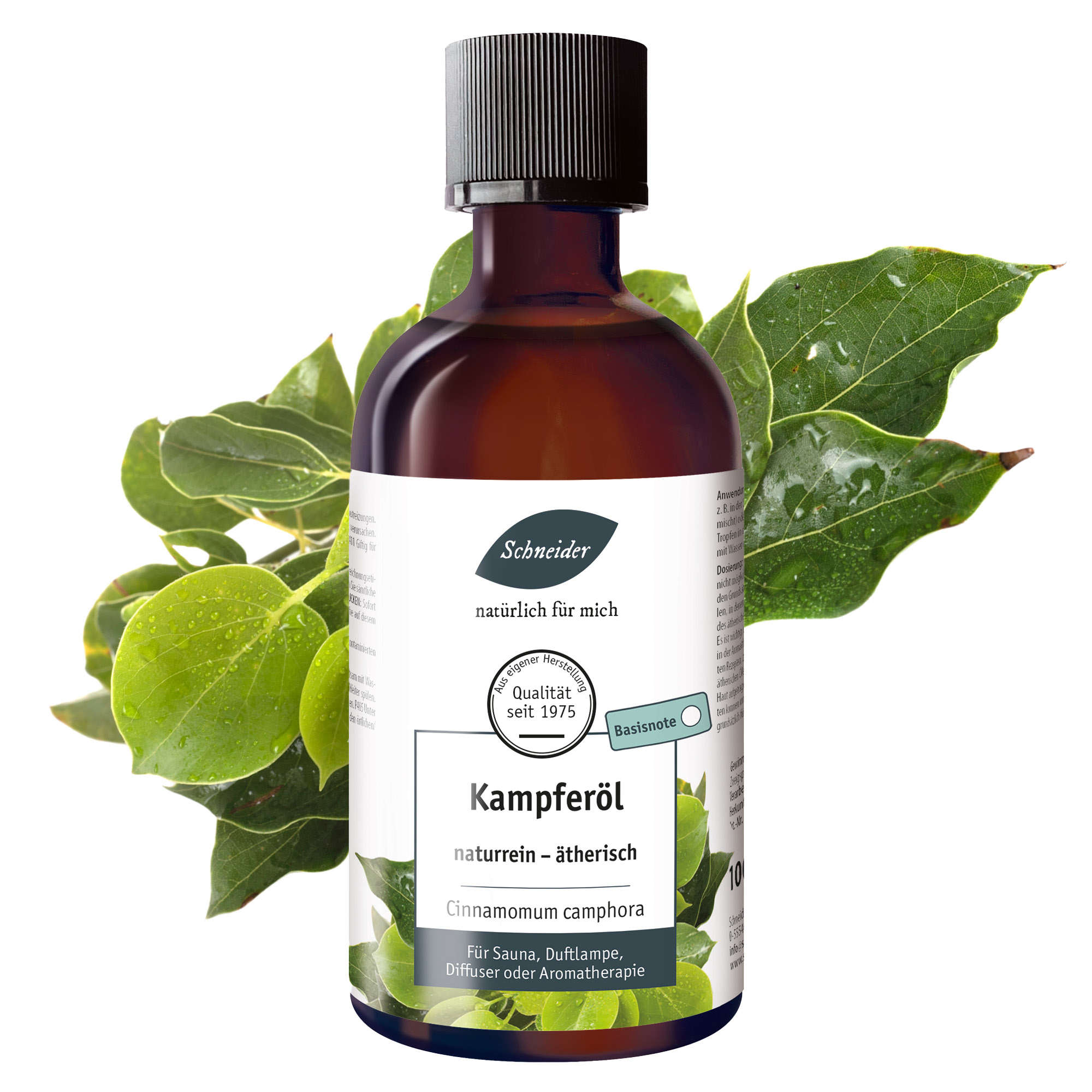 Ätherisches Öl Kampfer 100ml