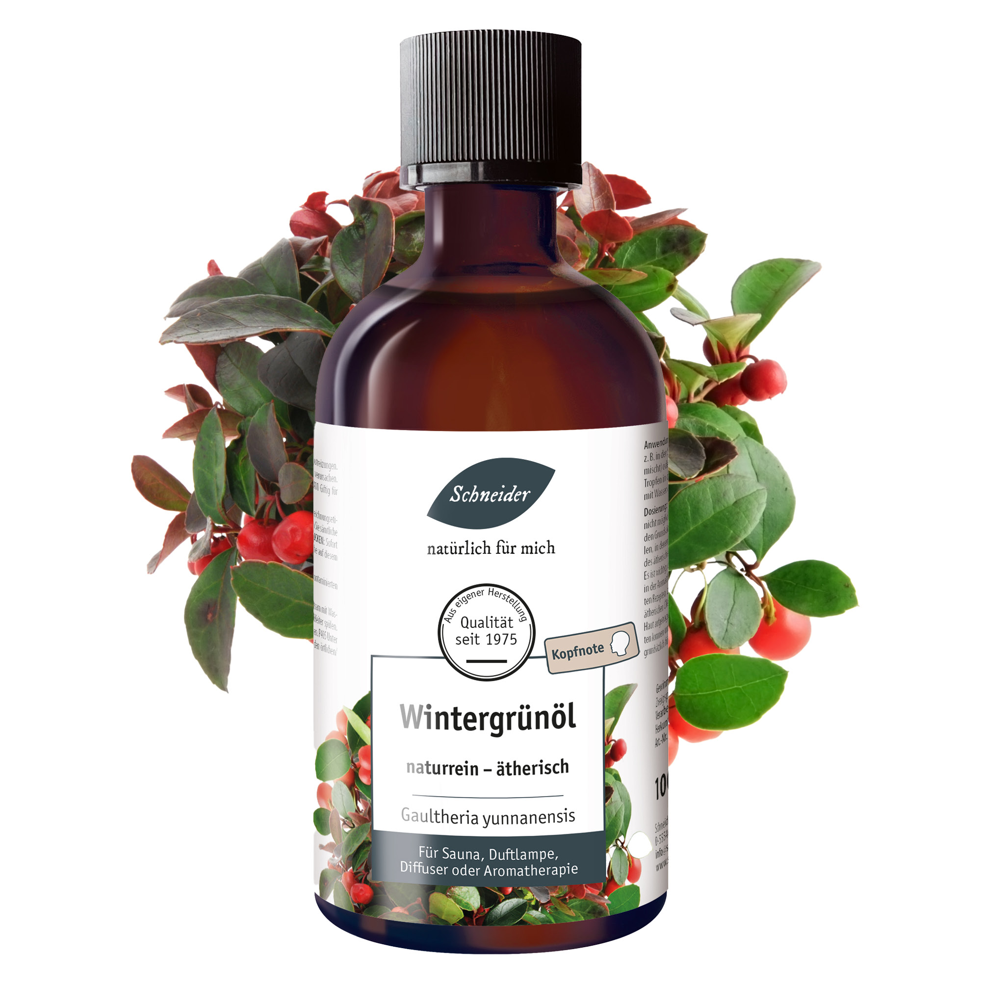 Ätherisches Öl Wintergrün 100ml