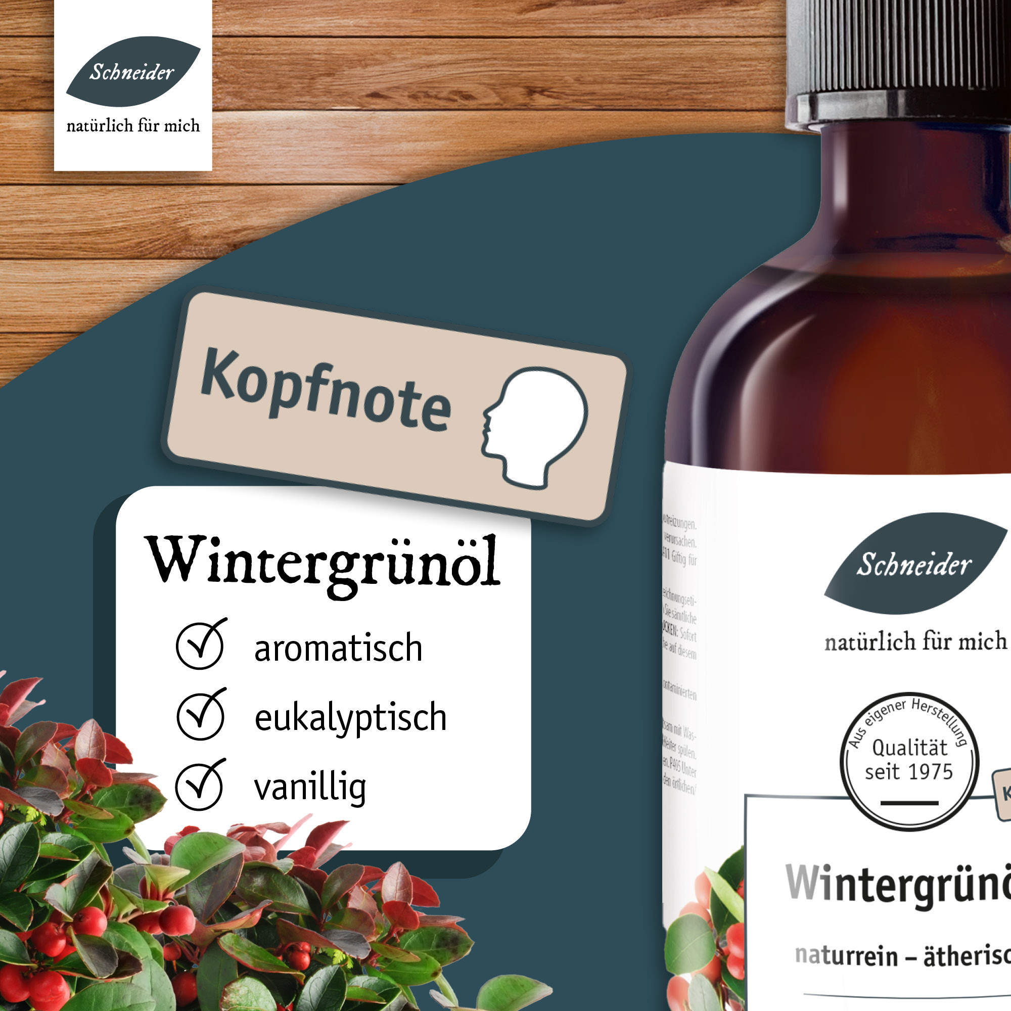Ätherisches Öl Wintergrün 100ml